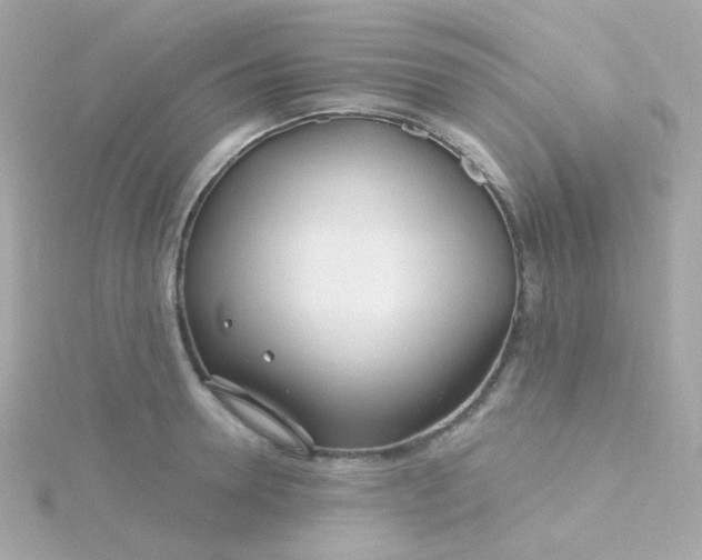 X0000115690946200911251810