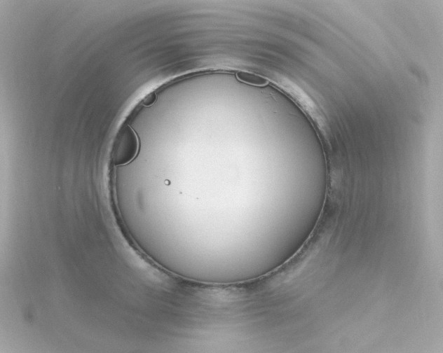 X0000115690947200911251810