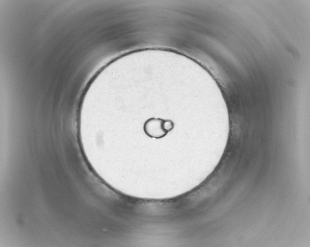 X0000115690950200911251810