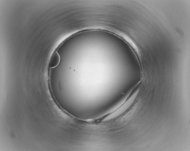 X0000115690951200911251810