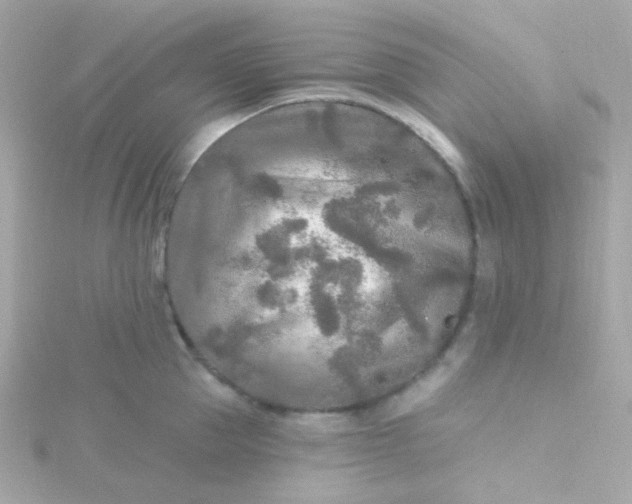 X0000115690953200911251810