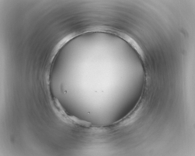 X0000115690954200911251810