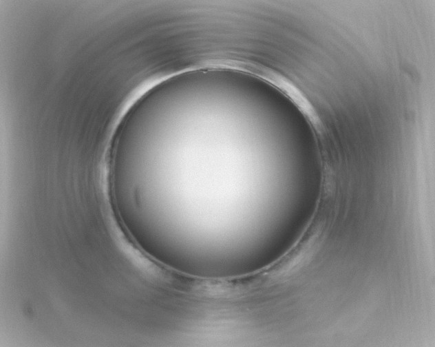 X0000115690955200911251810