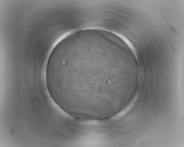 X0000115690957200911251810