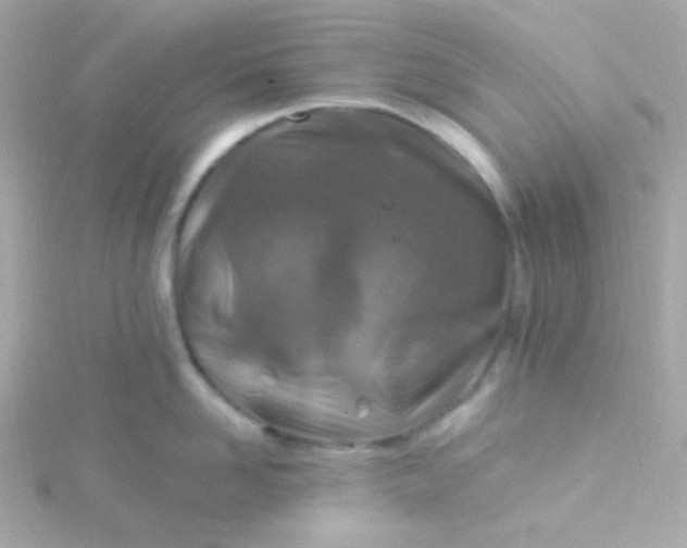 X0000115690958200911251810