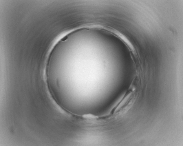 X0000115690959200911251810