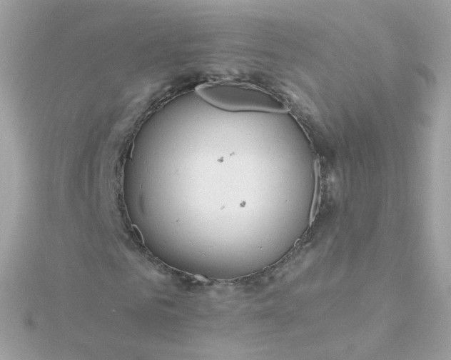 X0000115690961200911251809