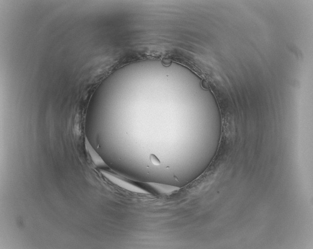 X0000115690962200911251809