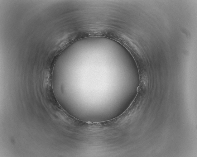 X0000115690964200911251809