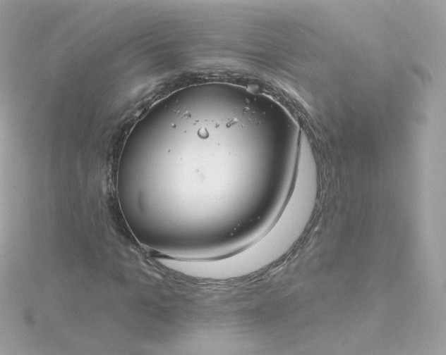 X0000115690965200911251809