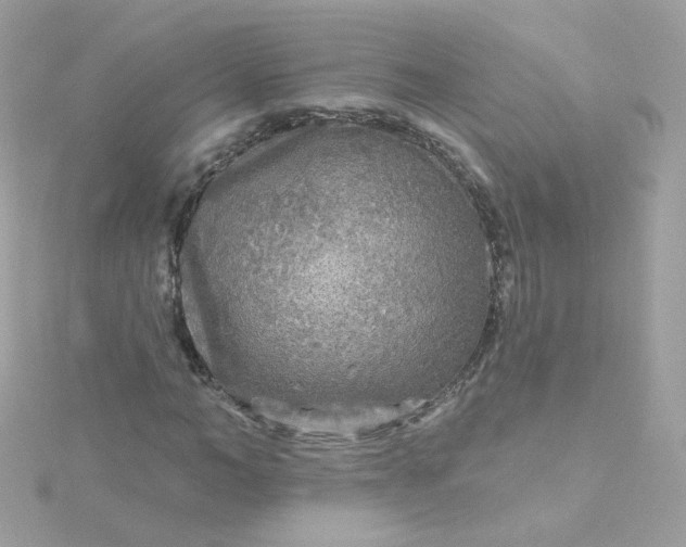 X0000115690966200911251809