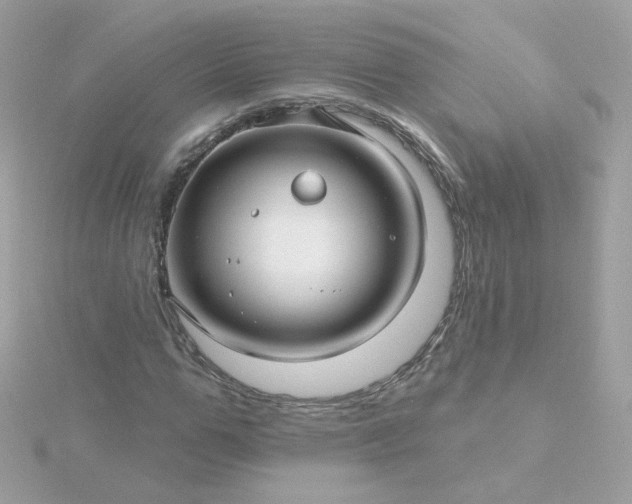 X0000115690967200911251809