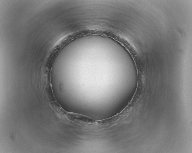 X0000115690968200911251809