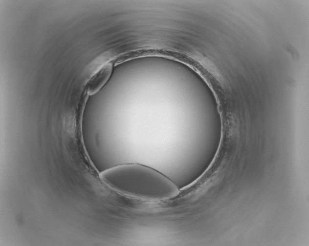 X0000115690969200911251809