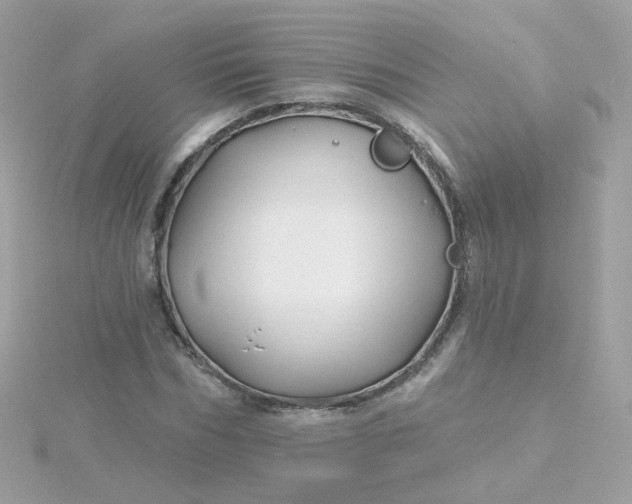 X0000115690970200911251809