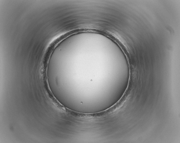 X0000115690971200911251809