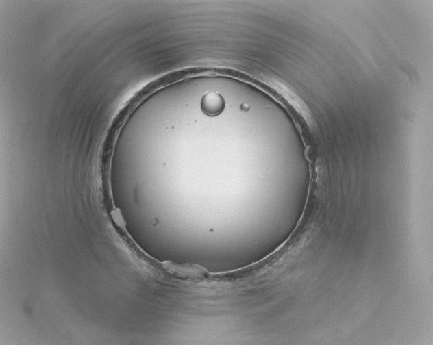 X0000115690972200911251809