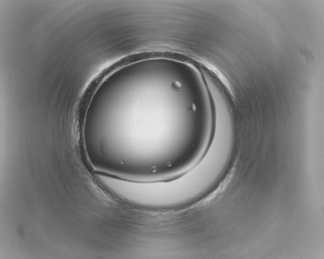 X0000115690973200911251809