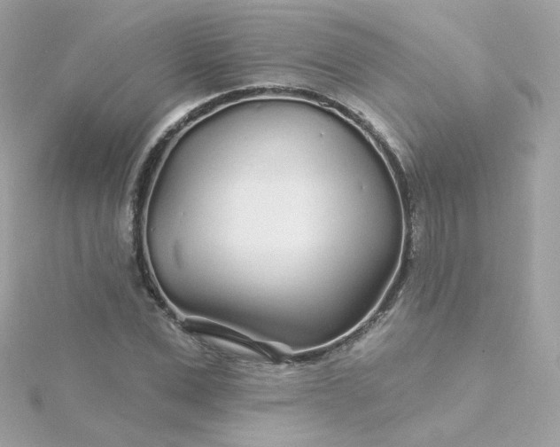 X0000115690975200911251809