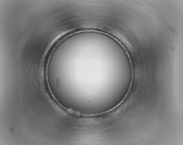 X0000115690976200911251809