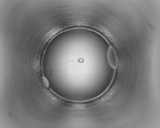 X0000115690977200911251809