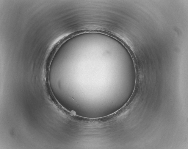 X0000115690979200911251809