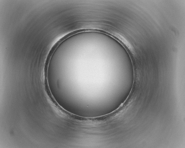 X0000115690980200911251809