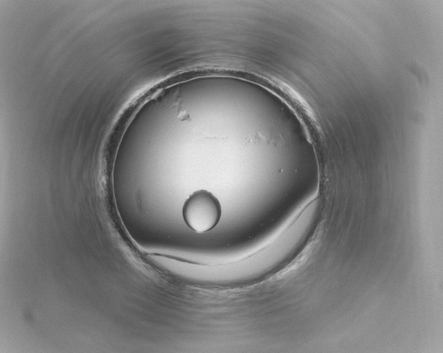 X0000115690981200911251809