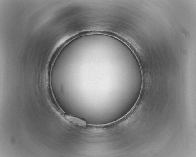 X0000115690982200911251809