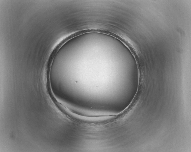 X0000115690983200911251809