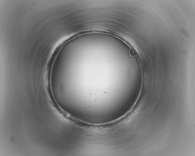 X0000115690987200911251809