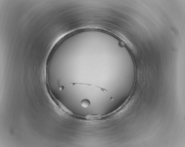 X0000115690988200911251809