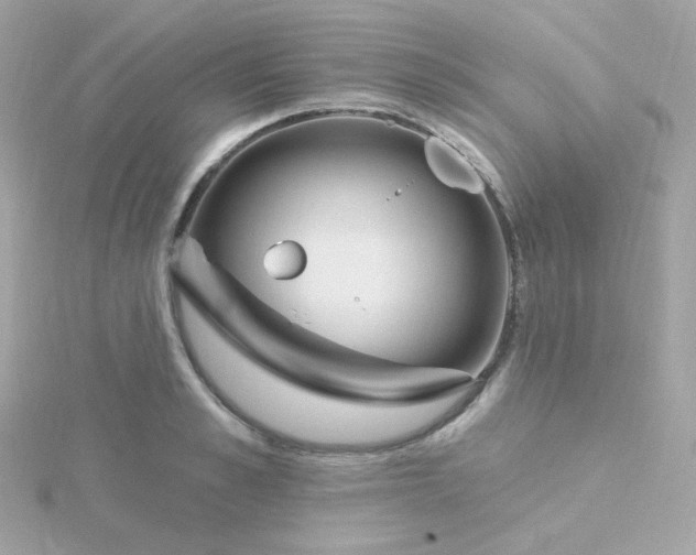 X0000115690989200911251809