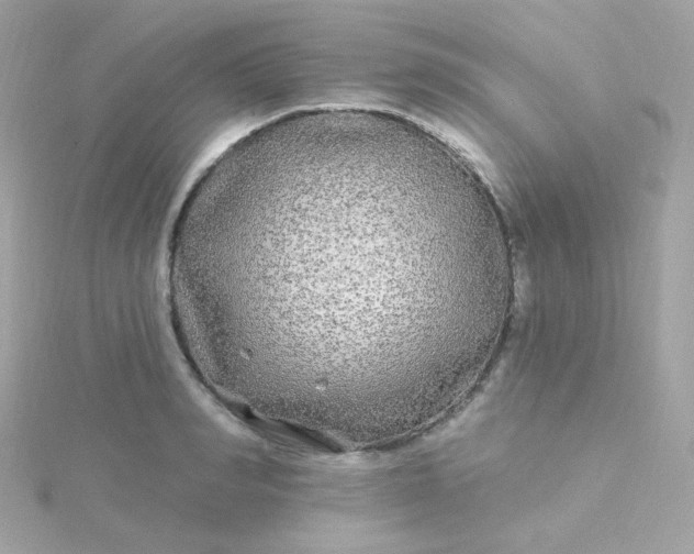 X0000115690990200911251809