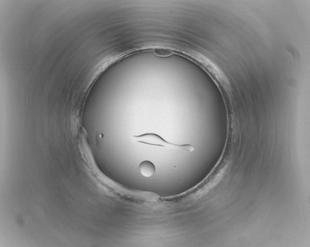 X0000115690993200911251809