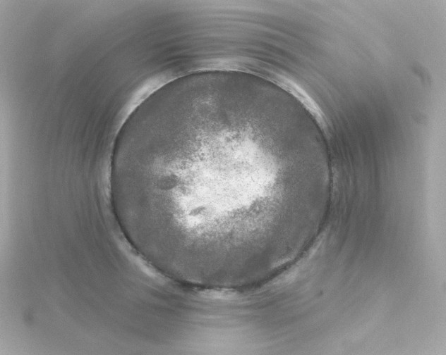 X0000115690994200911251809