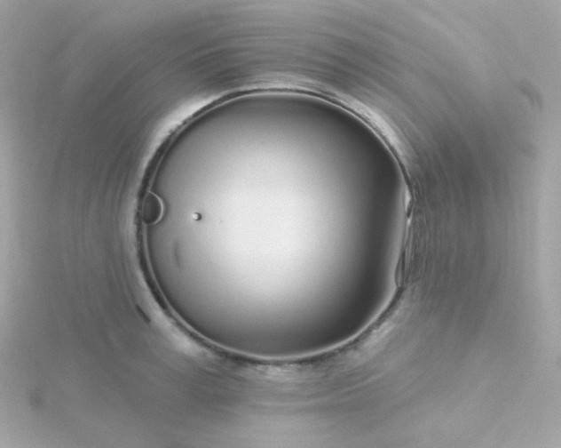 X0000115690995200911251809