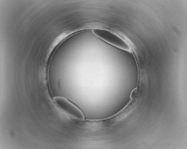 X0000115690997200911251809