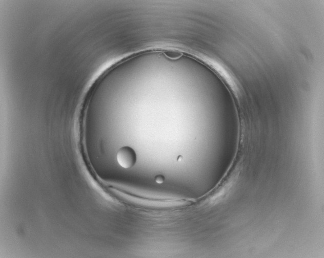 X0000115690999200911251809