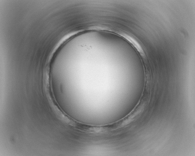 X0000115691000200911251809