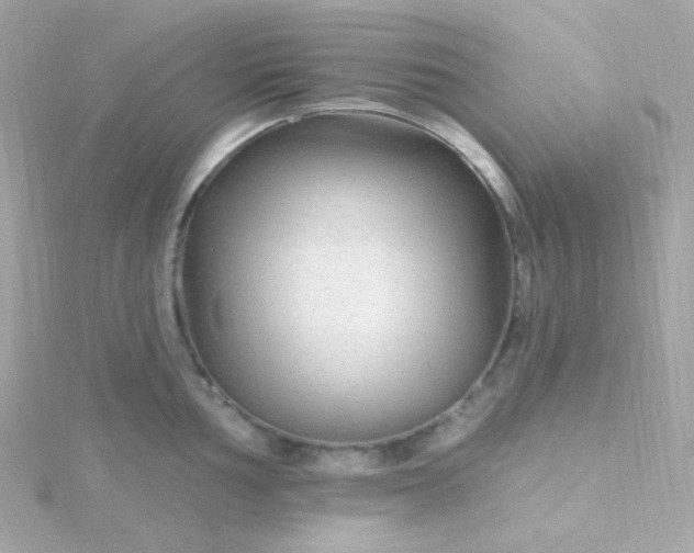 X0000115691002200911251809