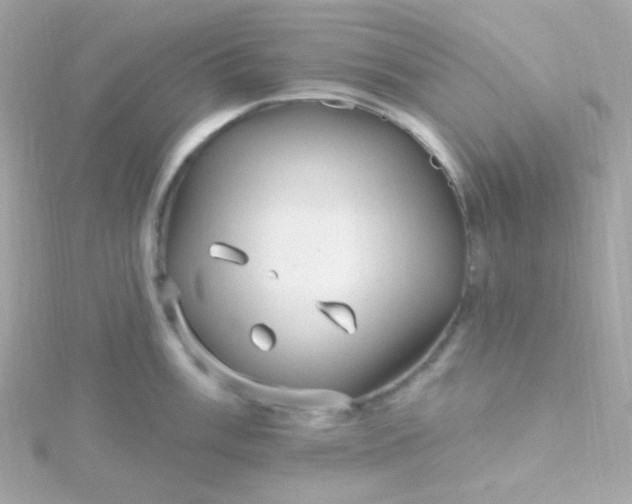 X0000115691003200911251809