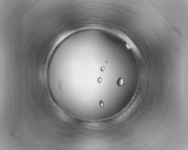 X0000115691004200911251809