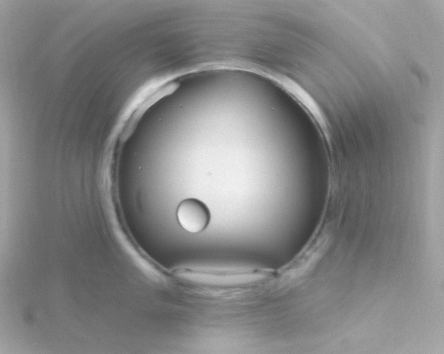 X0000115691005200911251809