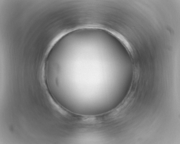 X0000115691006200911251809