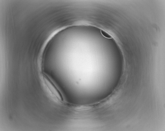 X0000115691008200911251809