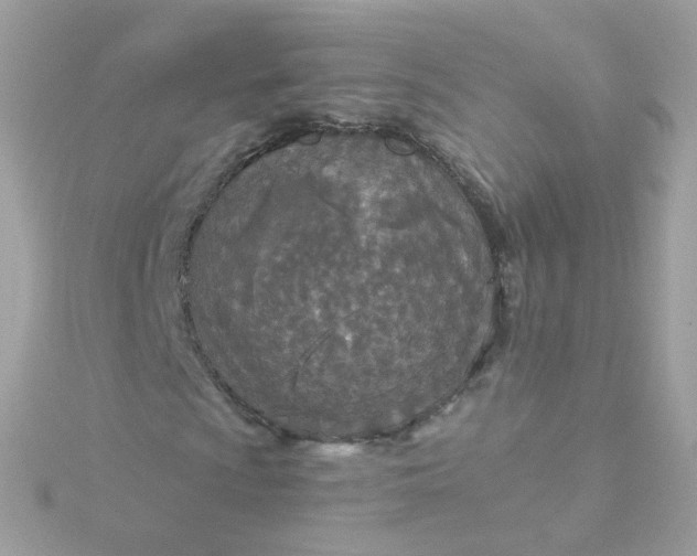 X0000115691009200911251808