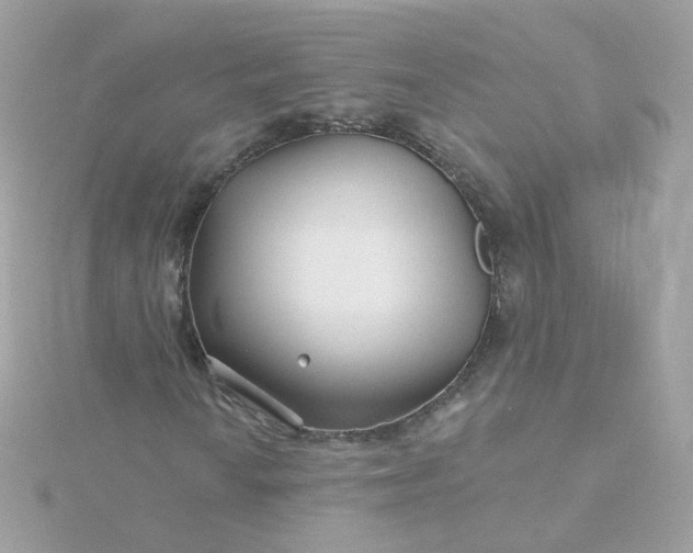 X0000115691010200911251808