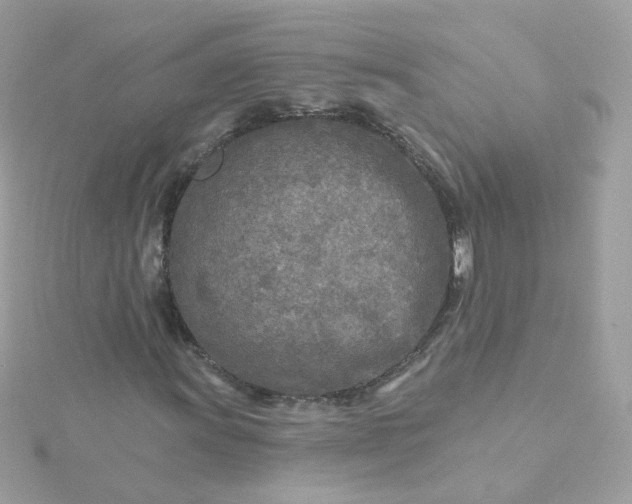 X0000115691011200911251808