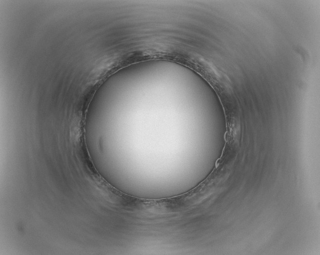 X0000115691012200911251808